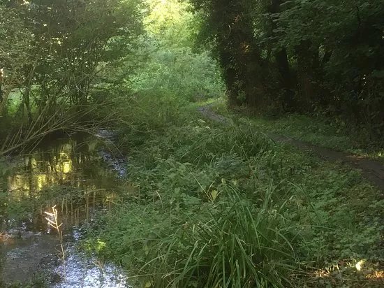 Newborne Springs Nature Reserve