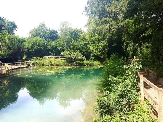 Silent Pool Distillers