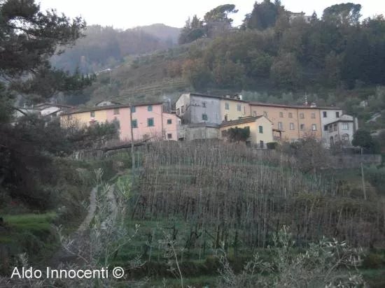 Museo Pucciniano Di Celle Dei Puccini