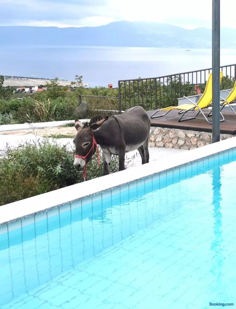 Villa Suzi Donkey Farm with Seaview