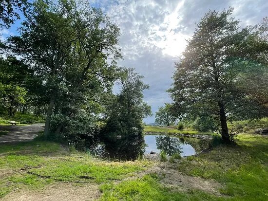 Skansbergets Utsiktsplats