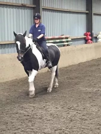 Aberconwy Equestrian Centre