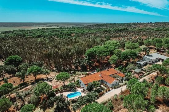 Terra Das Abelhas