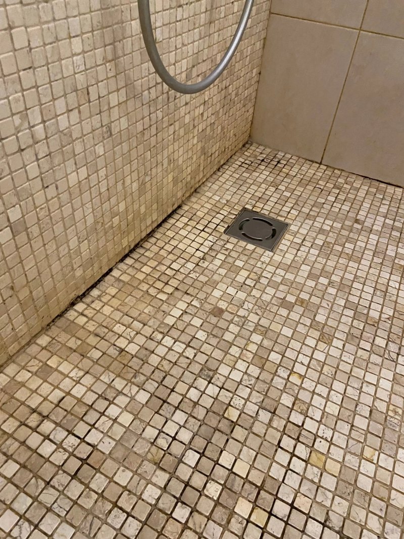 Center Avenue Apartment