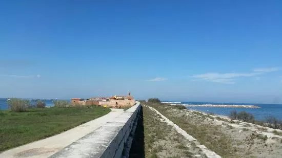 Venice Bike Rental