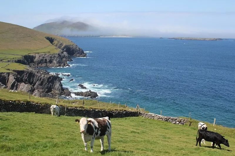An Caladh Spáinneach
