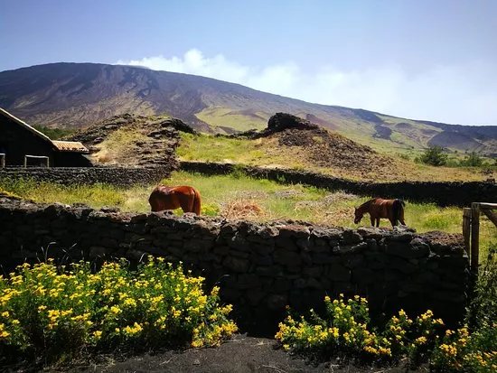 Etna Horse Paradise