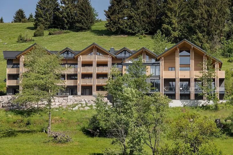 Deluxe Lodge Apartment