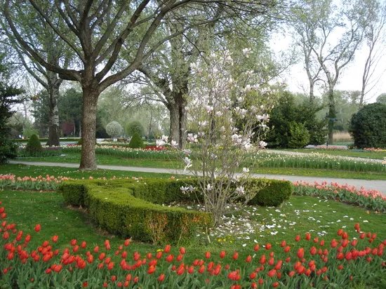 Donaupark