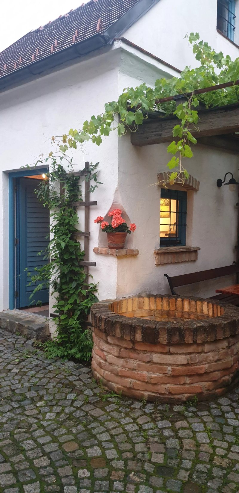 Bio-Weinbau Killmeyer