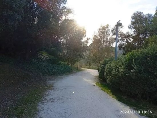 ARBORETO DEL CASTILLO