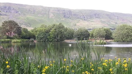 Whitefield Pond