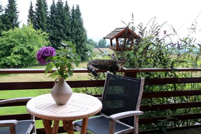 Spacious vacation apartment on the edge of the forest with a fantastic distant
