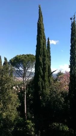 Parco di Villa Strozzi