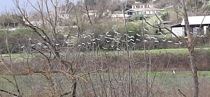 Village de Loisirs le Lomagnol
