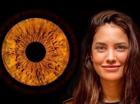 14 EYES - Iris Photography