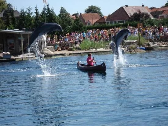Dolfinarium