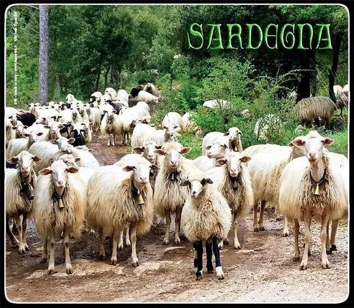 S'Arregordu - Candele Artigianali e Souvenirs della Sardegna