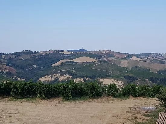 Societa Agricola San Filippo