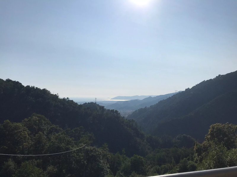 Casa Vacanze Albachiara