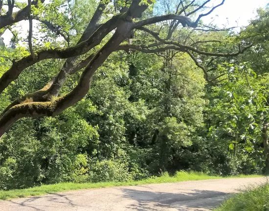 Parco di Villa Ghigi