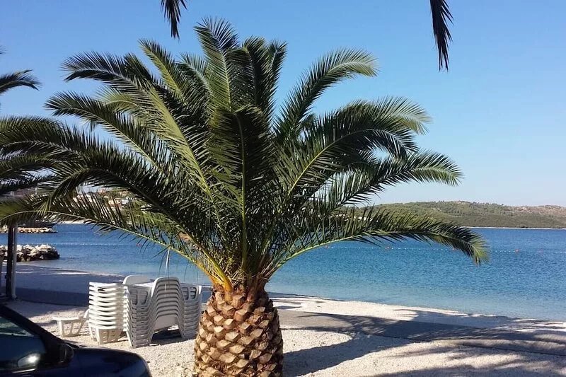 Luxury villa, Trogir - Ciovo, directly by the sea, heated pool, max. 12