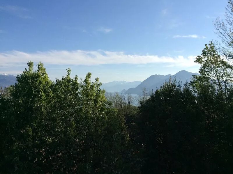 On Top Of The Lake With Views Of The Lake & The Swiss Alps