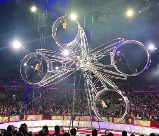 Dresdner Weihnachts-Circus