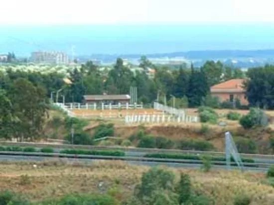 Centro Ippico Amico del Cavallo