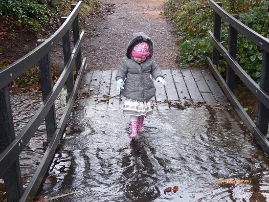 Staffordshire Wildlife Trust - The Wolseley Centre