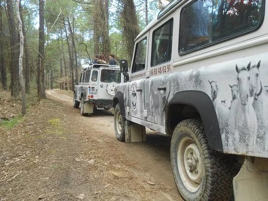 Camargue Sauvage Safari 4x4 et velo