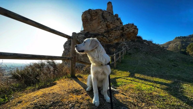 Castillo de los Moros