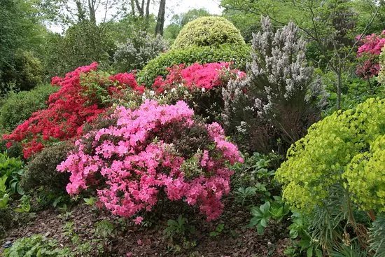 Le Jardin Francois