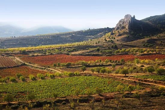 Bodegas Marques de Reinosa