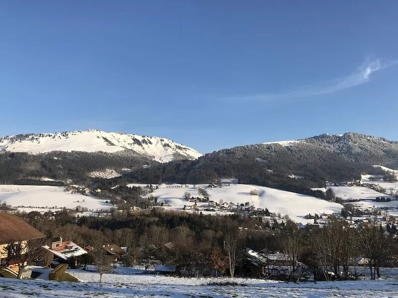 New apartment with garden in Savoyard chalet