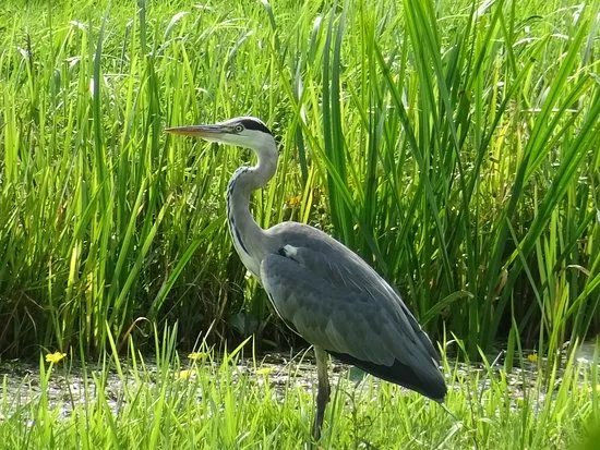 Wandelroute Heerlijkheid Beek
