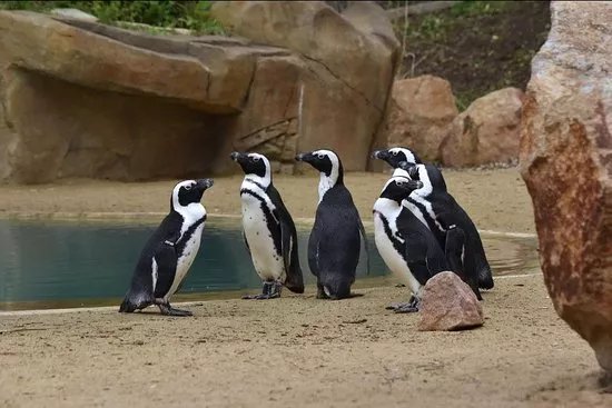 Zoologicka zahrada Usti nad Labem