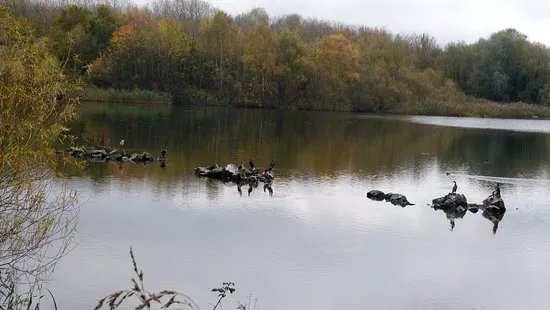 Sheepwash Local Nature Reserve