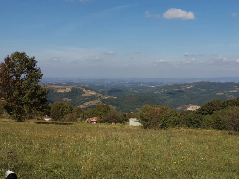 Rajački Konaci