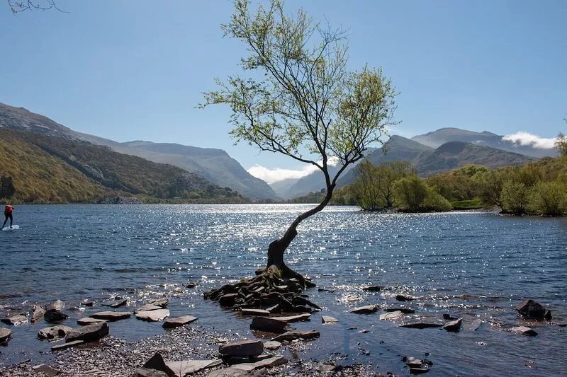 BAY TREE COTTAGE, pet friendly, with open fire in Llanrug