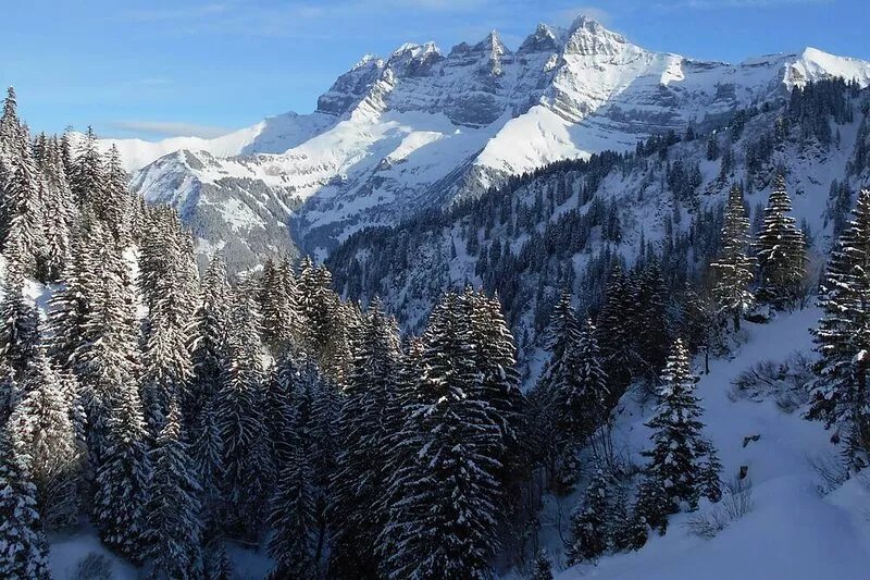 Ski in & out at Portes du Soleil, sunny Sunjacques facing Dents du Midi