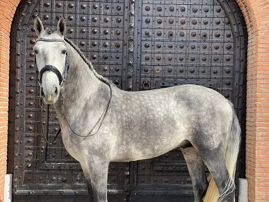 Dehesa Fuente Ymbro