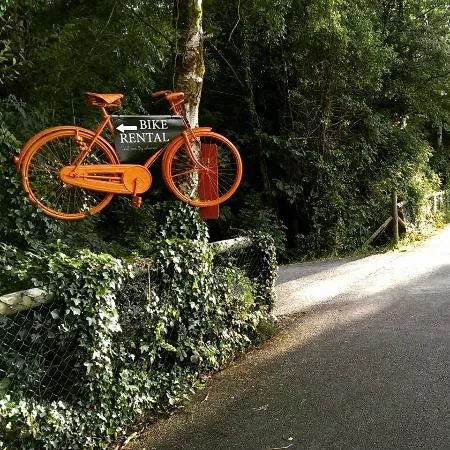 Bikes and Boards