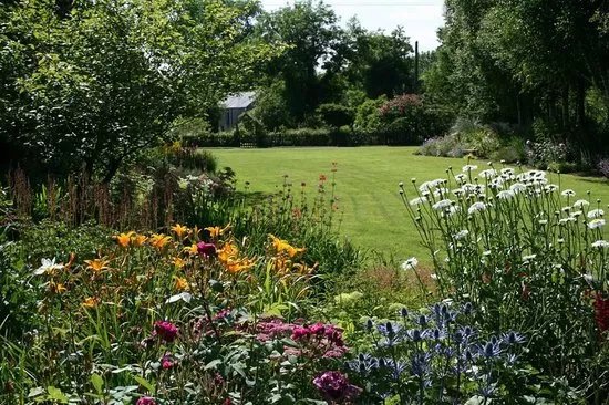 Ballyrobert Cottage Garden and Nursery