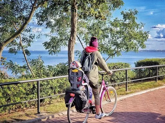 Bike Rental Gdansk