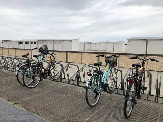 Pedalz Bike Rental