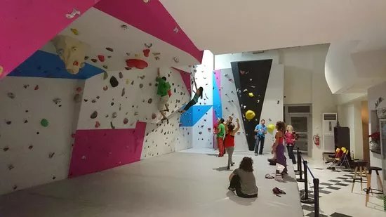 PXP Climbing Wall