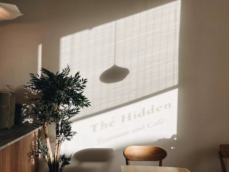 The Hidden