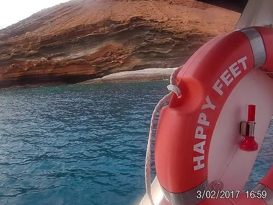 Happy Feet Boat Trips