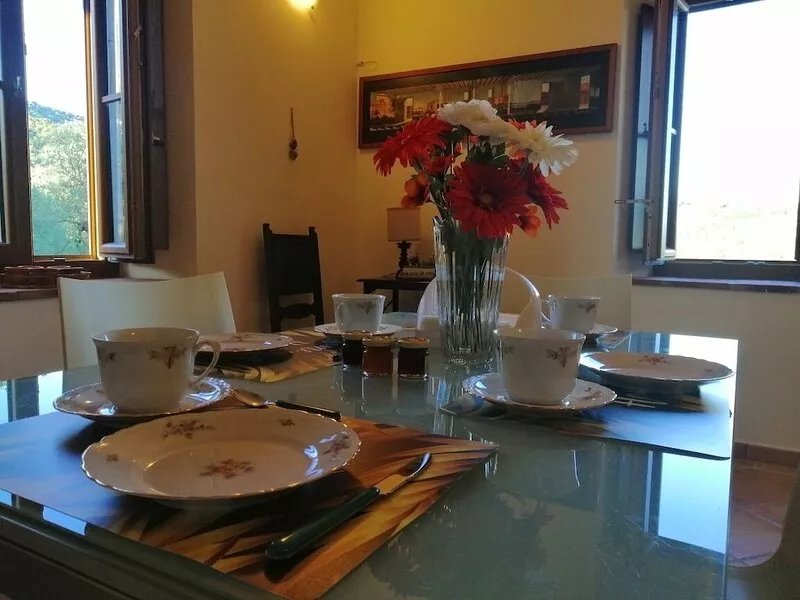 stone farmhouse immersed in an olive grove owned